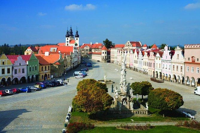 telc view