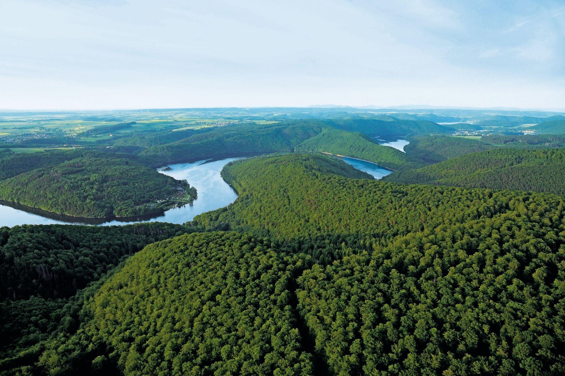 Nordhessen_Buchenmeer_Nationalpark_Manfred_Bauer_00_web